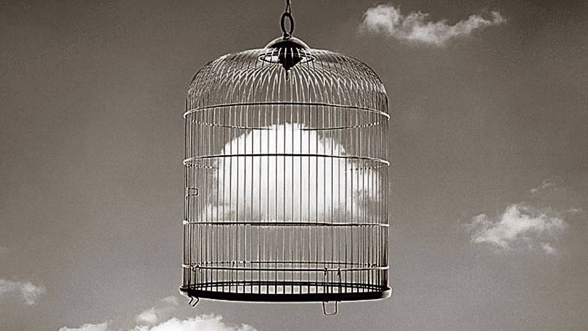 | CHEMA MADOZ