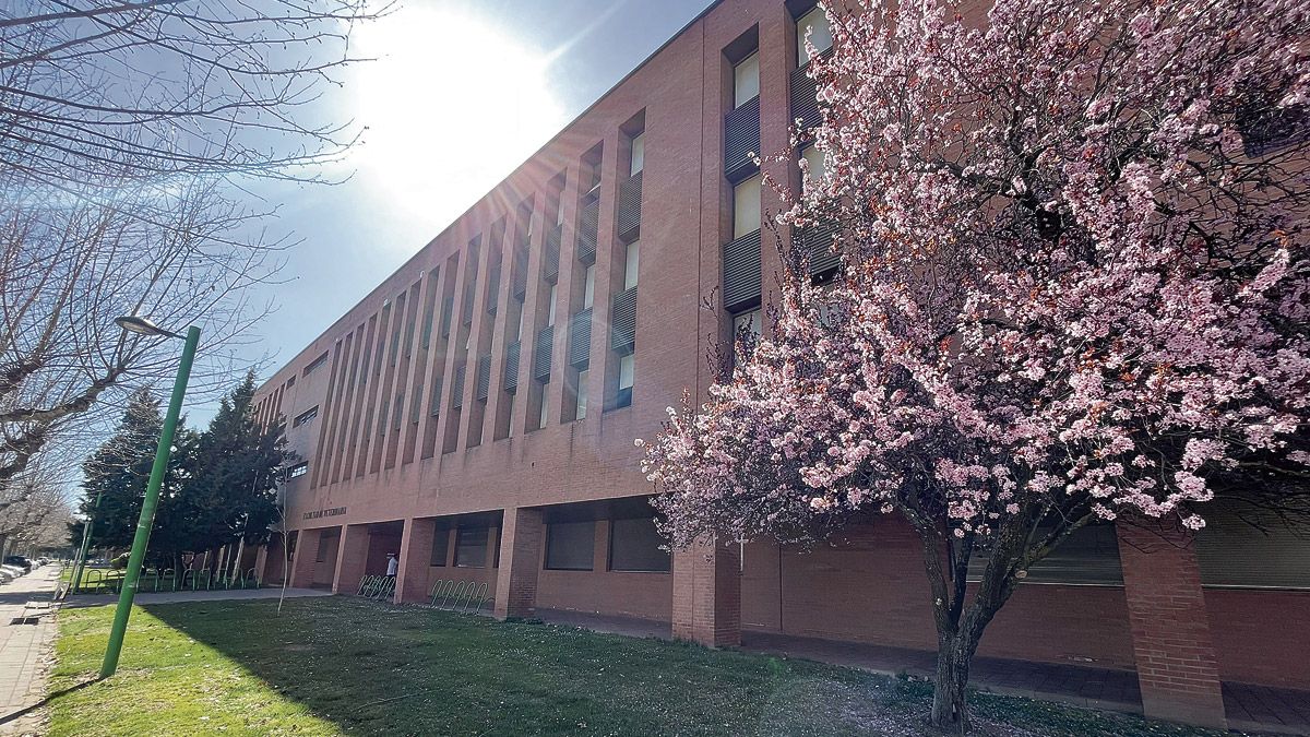 Vista de la Facultad de Veterinaria de León en el Campus de Vegazana. | SAÚL ARÉN