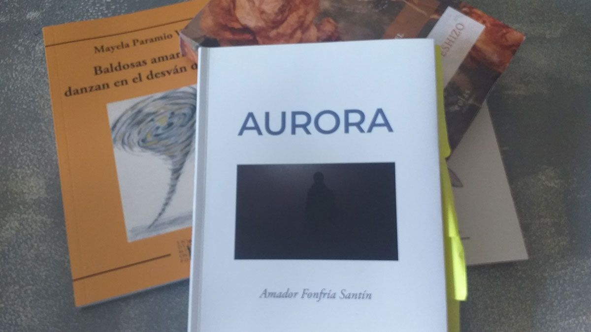Portada del libro del autor, Amador Fonfría, con su "Aurora".