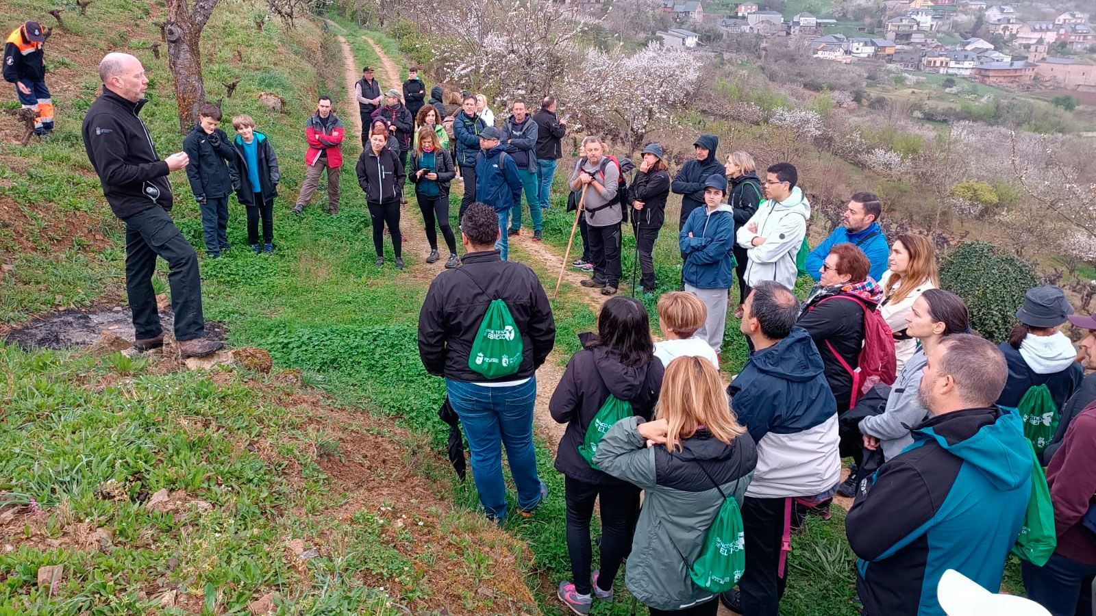 Ruta por los cerezos en flor en Corullón con Linares ofreciendo explicaciones sobre ellos.