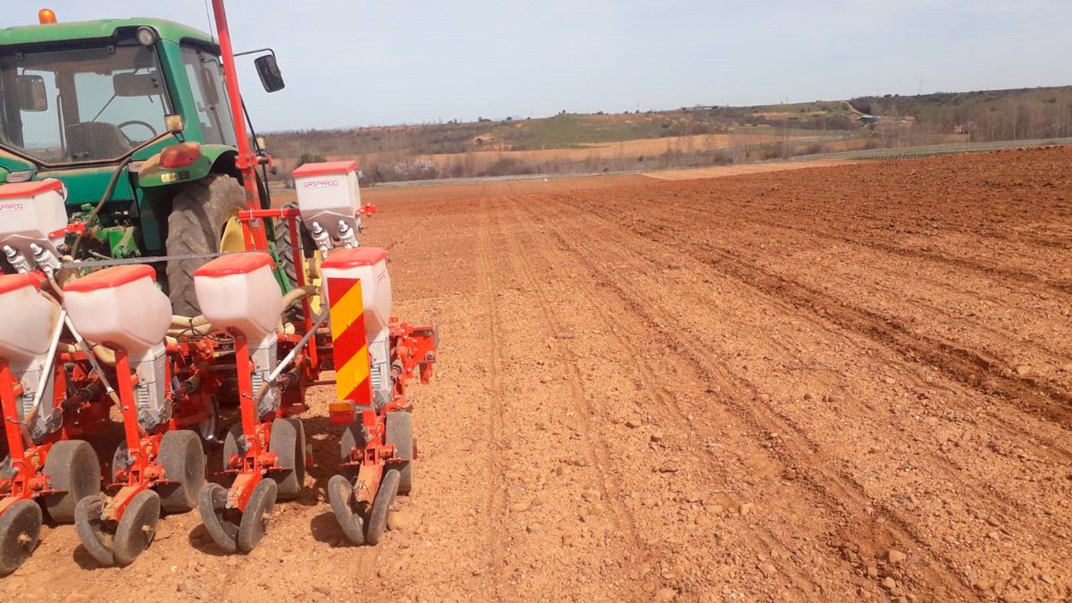 Un tractor tras el proceso de la siembra de quinoa hace escasos días de la mano de la empresa Quinoa del Páramo. | L.N.C.