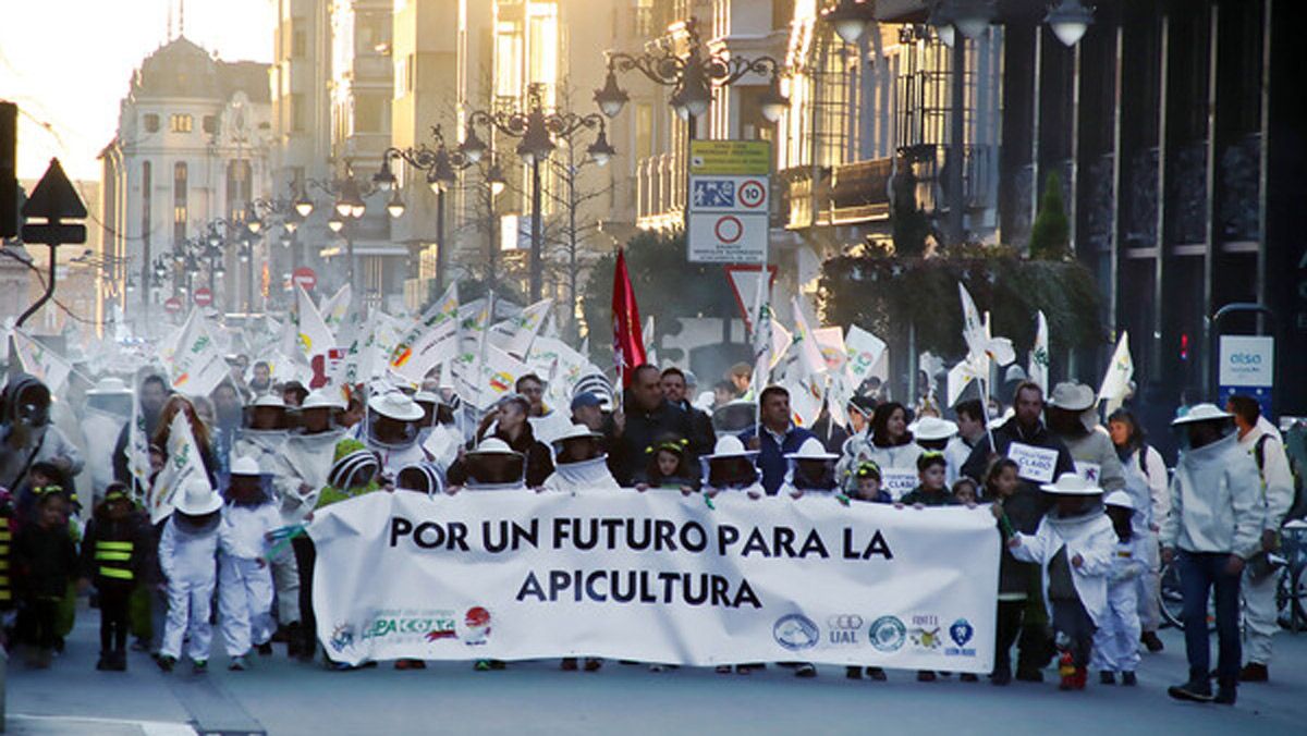 Manifestación de los apicultores leoneses por las calles de la ciudad de León el pasado mes de febrero. | PEIO GARCÍA (ICAL)