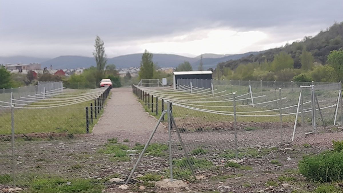 Huertos urbanos en Ponferrada. | MAR IGLESIAS