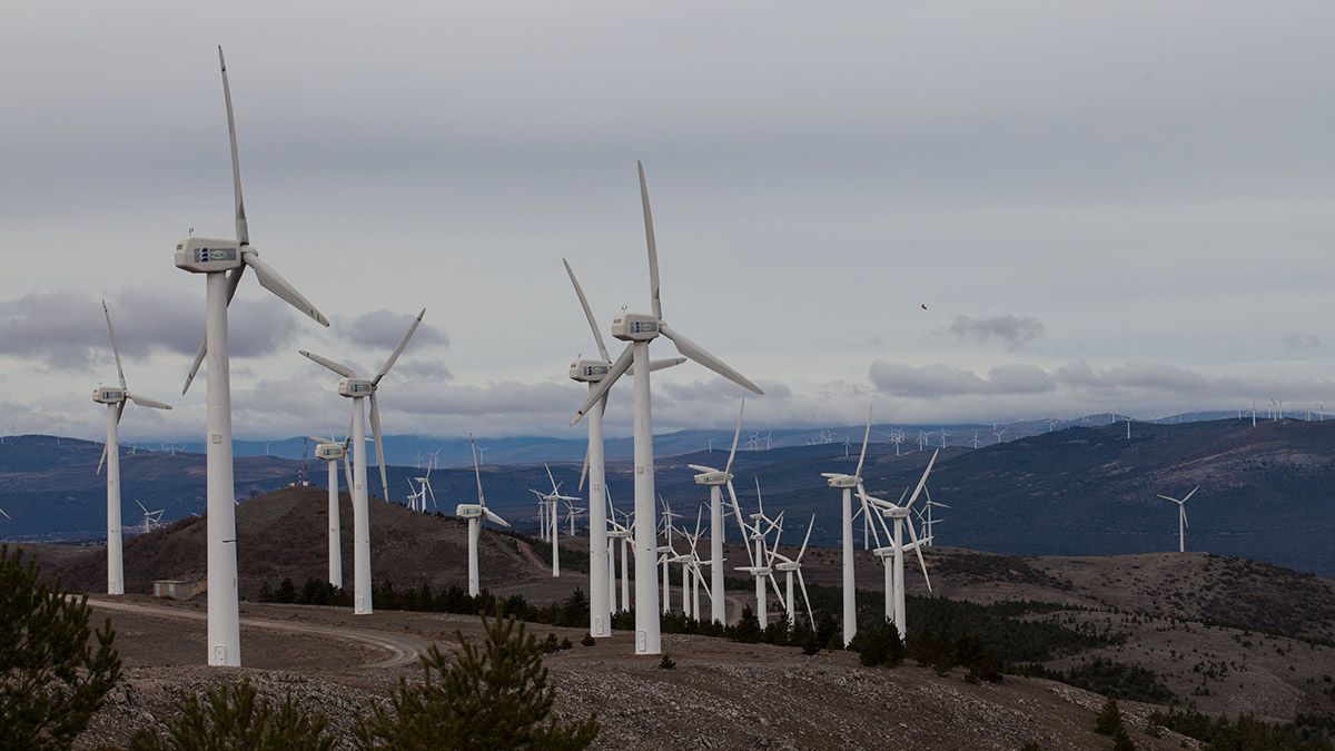 Desde las 11:00 hasta las 18:00 horas el precio de la luz será de cero euros/MWh. | ICAL