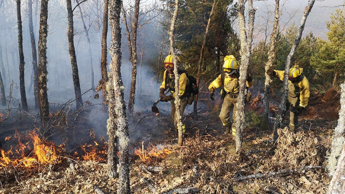 Imagen de uno de los últimos incendios, precisamente, en Toreno.