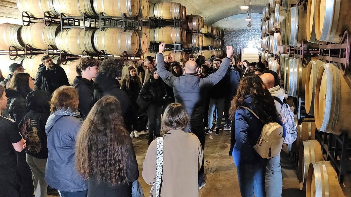 Visita a una de las bodegas más grandes de Portugalde los viñedos de  ‘Herdade do Esporão’ en Beja (Portugal). | L.N.C.