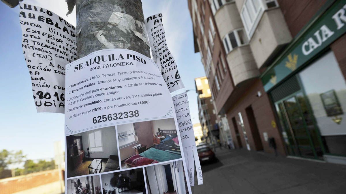 El mercado del alquiler de viviendas se mantiene estable pero la oferta se sigue reduciendo. | DANIEL MARTÍN El mercado del alquiler de viviendas se mantiene estable pero la oferta se sigue reduciendo. | DANIEL MARTÍN