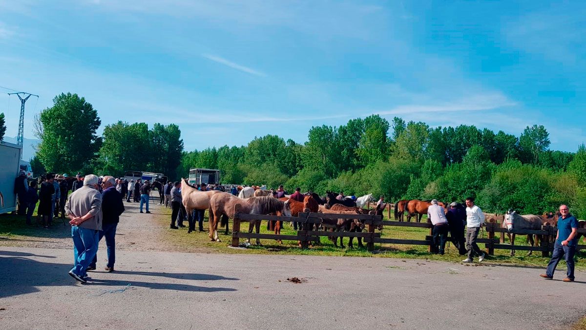 La tradición continúa con la feria del ganado, aunque se ha quedado reducida al mercado de caballos. La tradición continúa con la feria del ganado, aunque se ha quedado reducida al mercado de caballos.