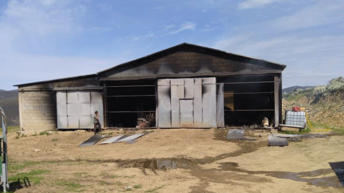 Imagen del incendio en la nave.