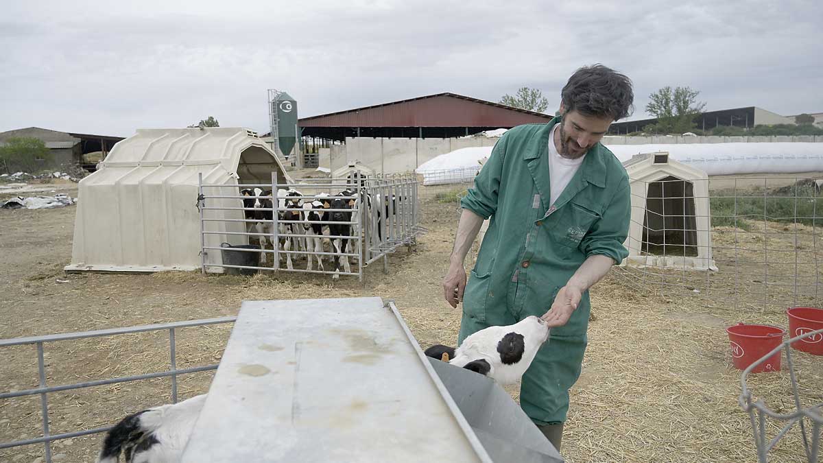 Enrique después de estudiar Empresariales y opositar decidió regresar a Cebrones del Río y seguir la tradición familiar de la ganadería | JESÚS F. SALVADORES