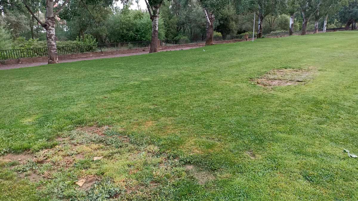 Espacio verde del parque en el que estaban las mesas de ping pong retiradas. | L.N.C.