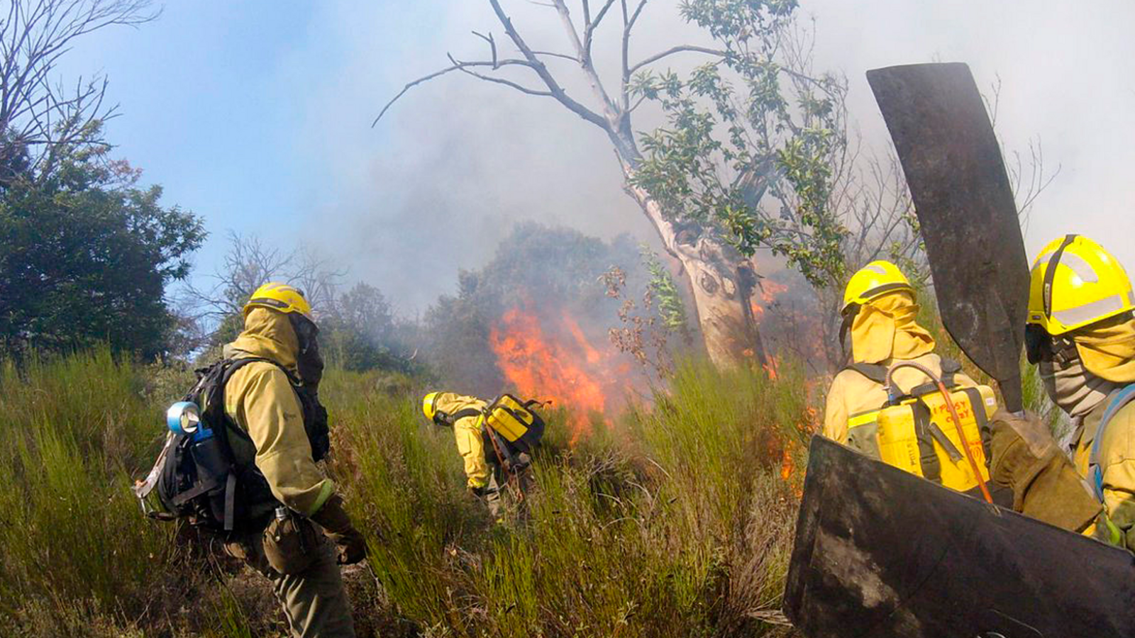 La UME se prepara para la campaña contra incendios en Castilla y León.