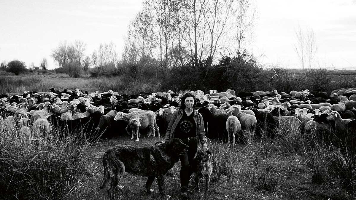 Violeta Alegre recibirá un homenaje durante la feria dedicada al carea que este fin de semana acoge Cerezales del Condado | ENRIQUE BUENO