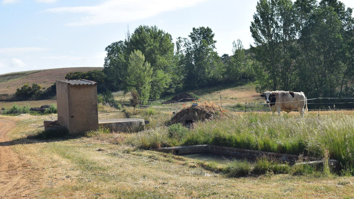 Zona en la que se encuentra el pozo artesiano de Alcuetas que data del año 1979. | A. RODRÍGUEZ