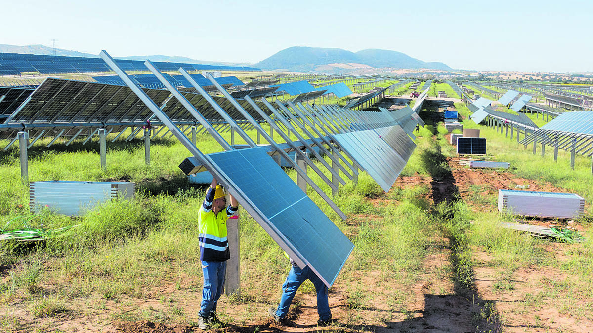 Colocación de un parque solar.