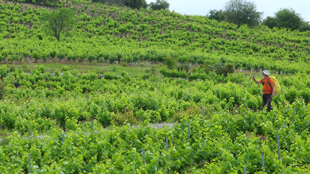 El sindicato de agricultores lamenta las críticas de ABA.