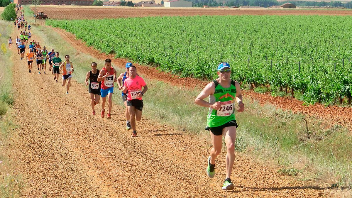 La prueba discurre entre los viñedos de la bodega Gordonzello. | L.N.C.