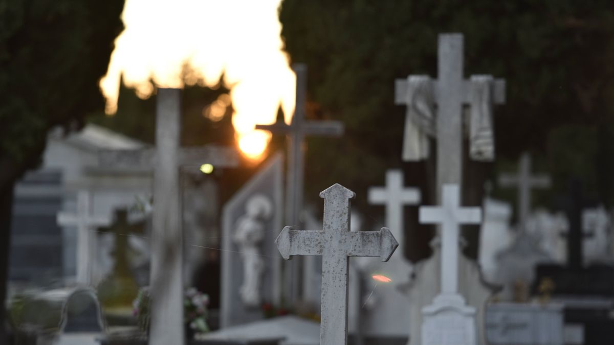 Imagen del cementerio de León, en el barrio de Puente Castro. | SAÚL ARÉN