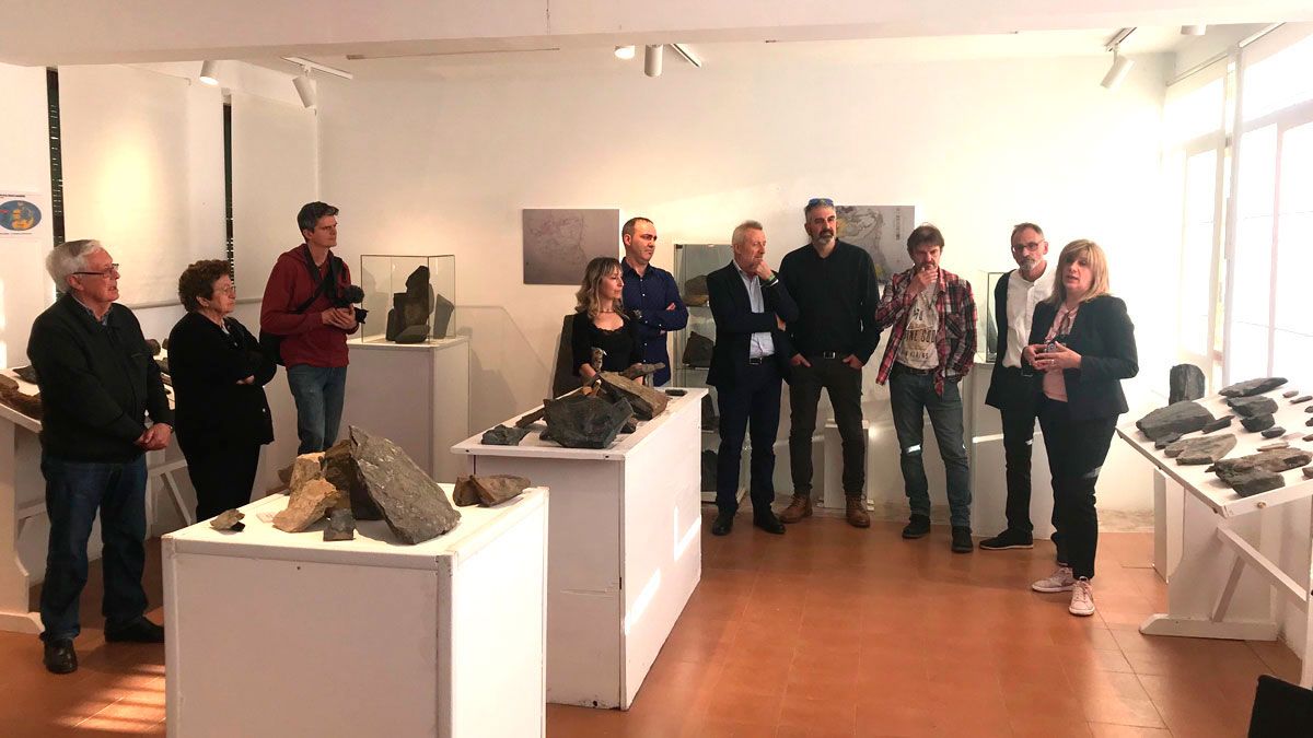 Exposición de fósiles en el Aula Paleobotánica de Fabero.