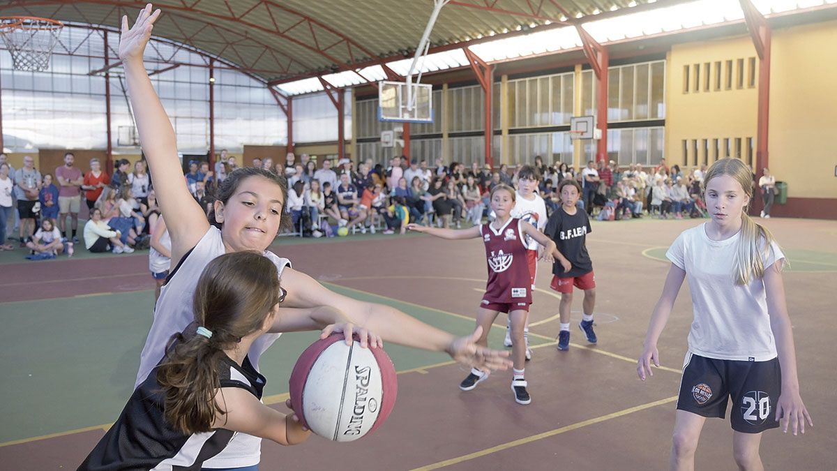 El Colegio Leonés fue una fiesta del baloncesto con la final del minibasket. | JESÚS F SALVADORES