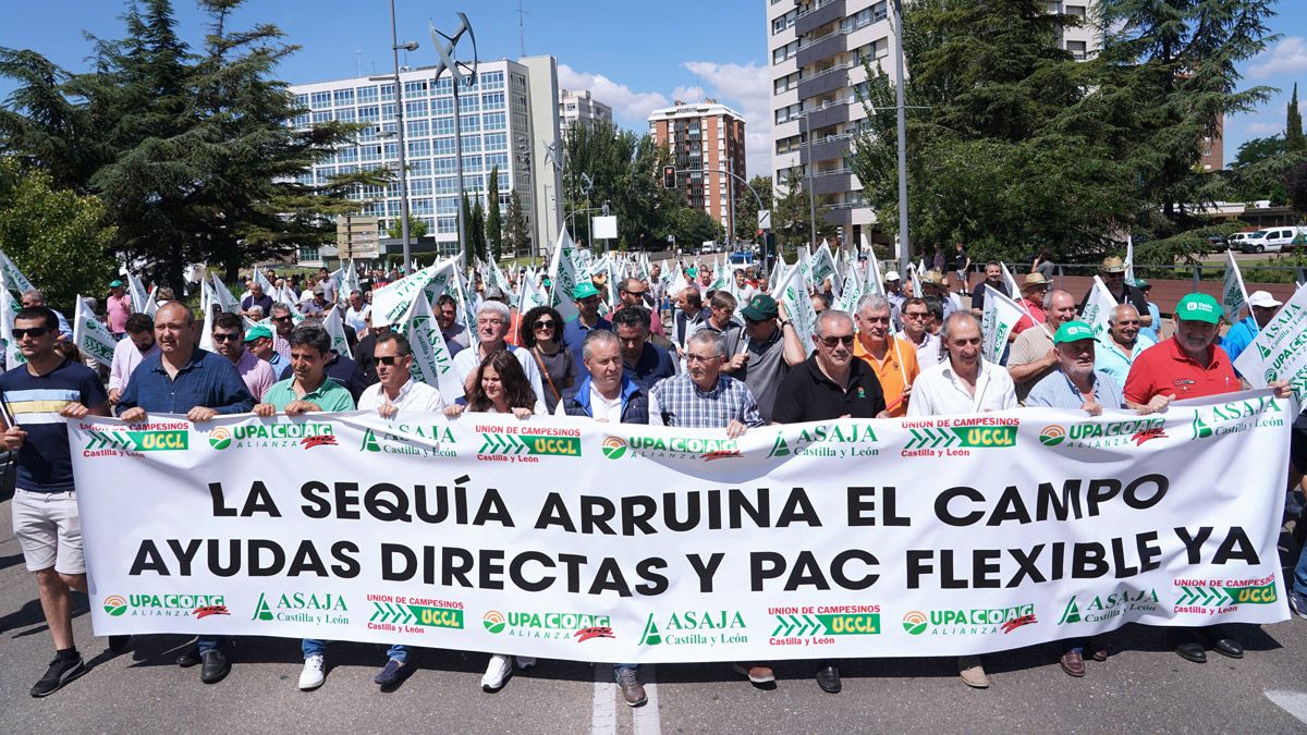 Manifestación de las organizaciones agrarias este jueves por las calles de Valladolid. | ICAL