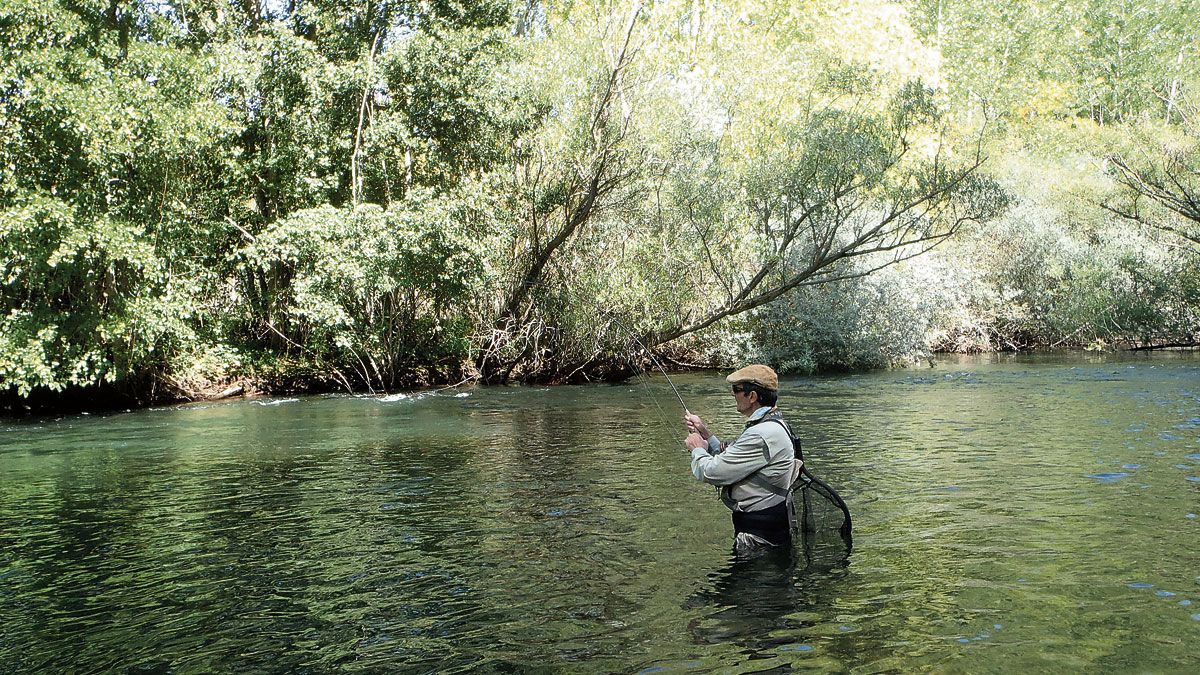 Imagen de archivo de un pescador en el río Esla en un lance con mosca. | R.P.Ñ.