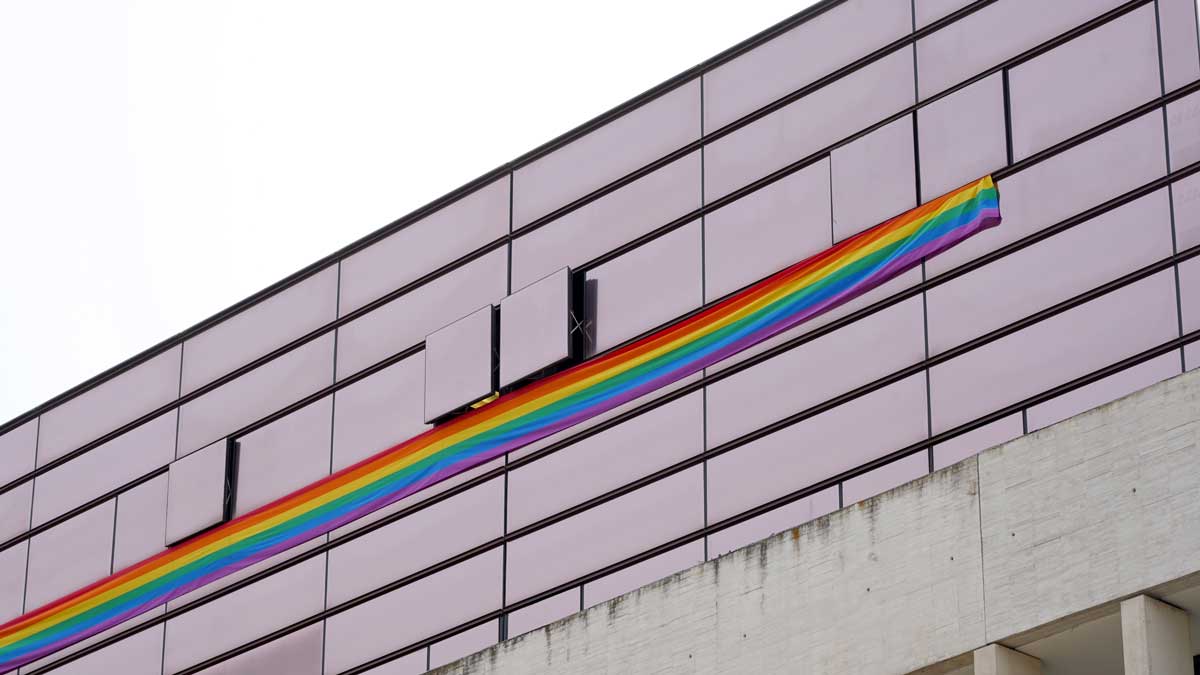 Edificio de las Cortes de Castilla y León, este martes con la bandera LGTBI desplegada por el PSOE. | ICAL