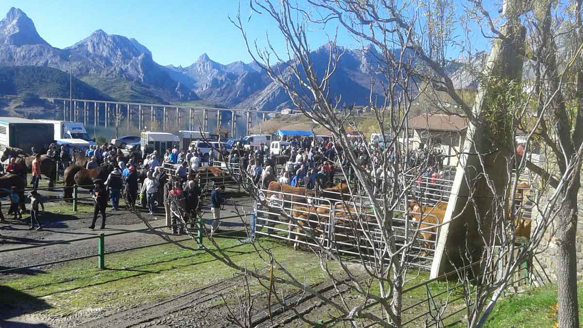 Vista del recinto ferial destinado al ganado ayer en Riaño. Vista del recinto ferial destinado al ganado ayer en Riaño.