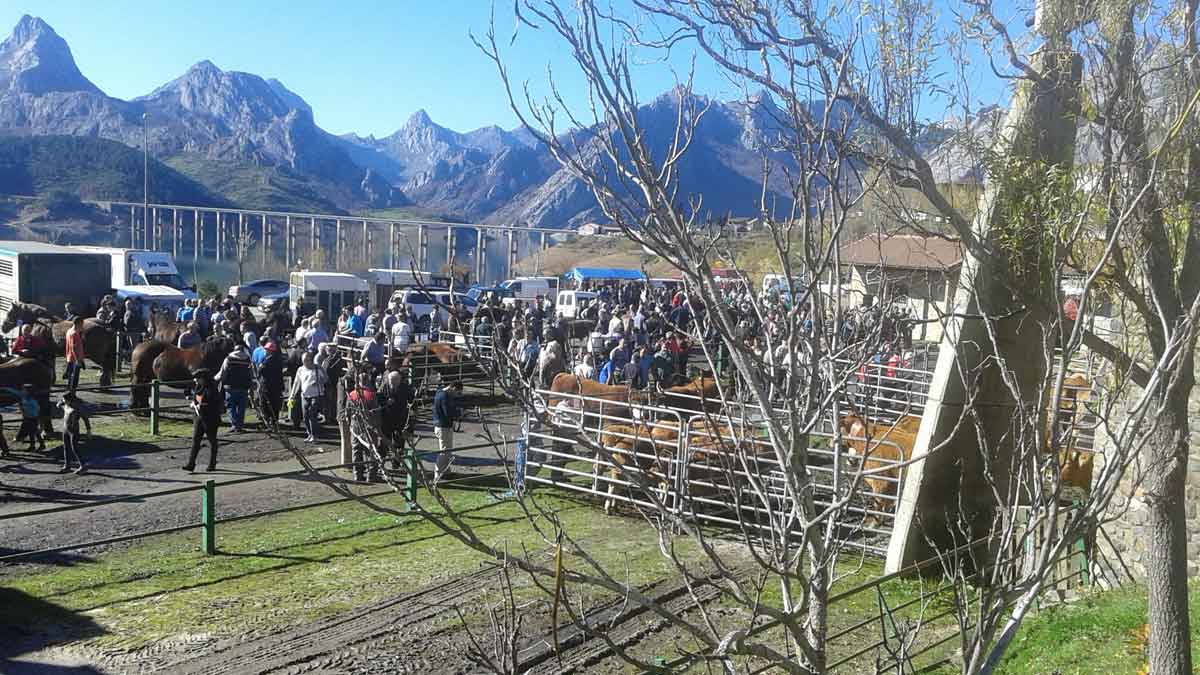 Vista del recinto ferial destinado al ganado ayer en Riaño.