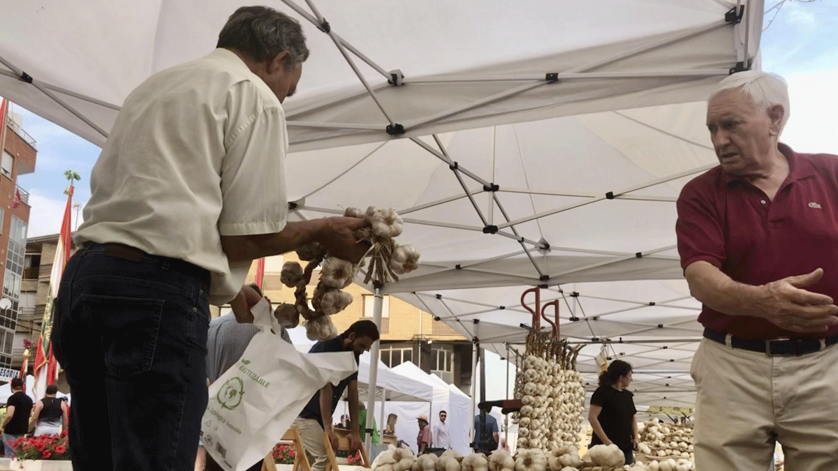 La Feria se prolongará durante toda la jornada del domingo, aunque el sábado ya habrá programación. | P.Ferrero