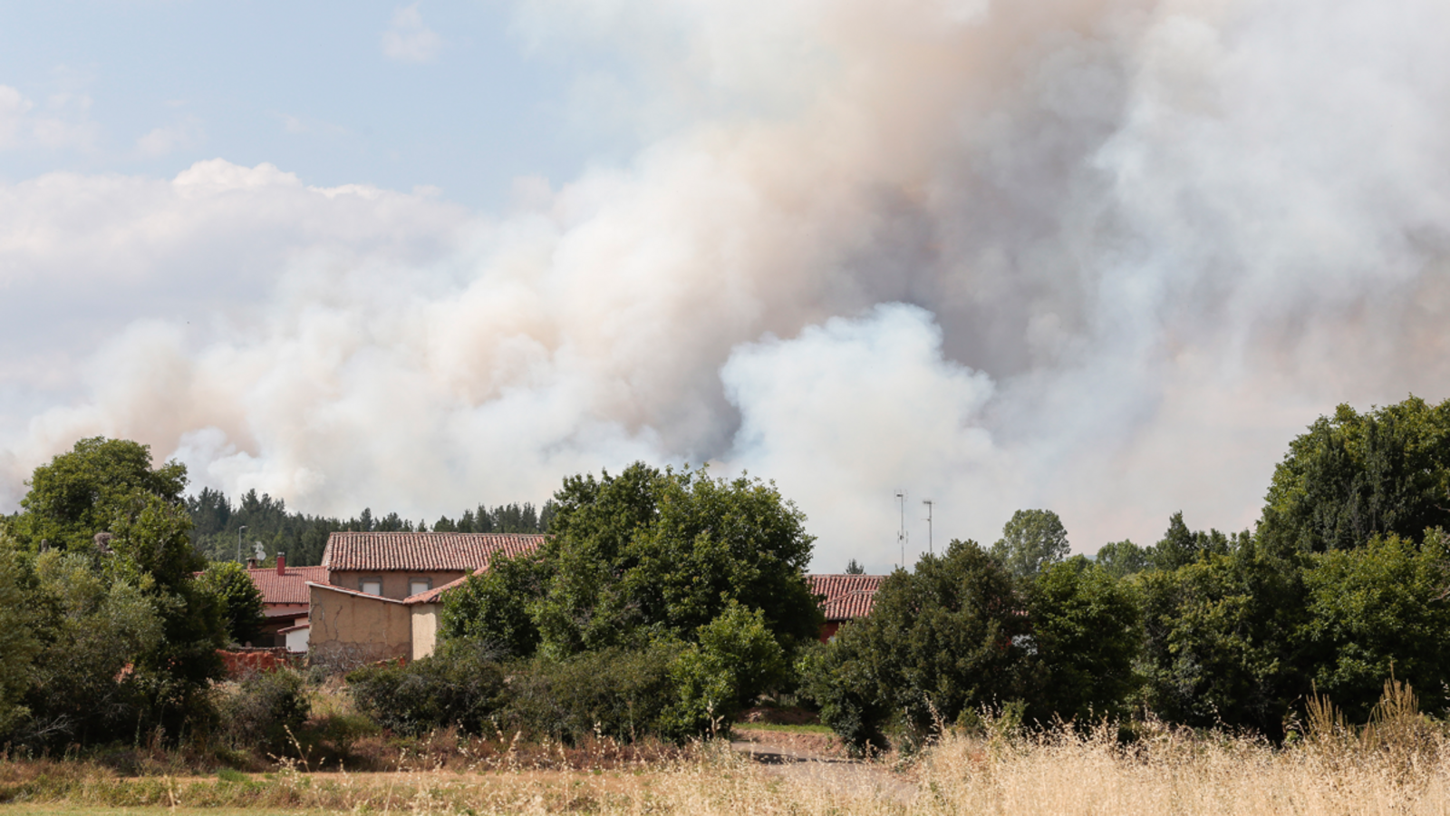 El incendio fue declarado este sábado. | CAMPILLO (ICAL)