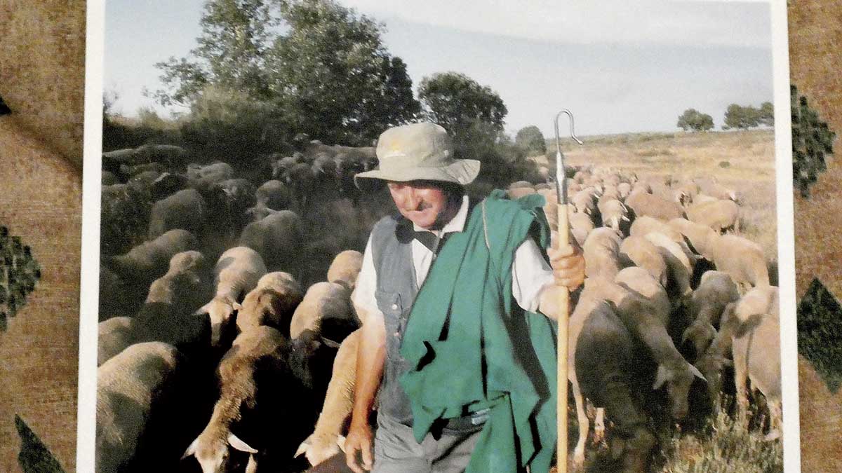 La vida trashumante de un buen pastor