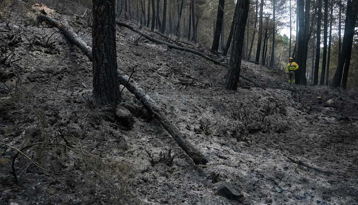 El incendio se originó este sábado. | JESÚS F. SALVADORES