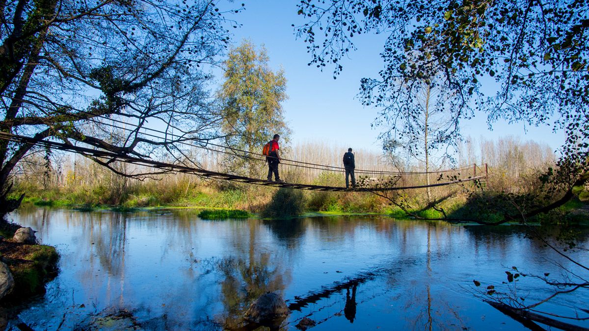 Puente colgante. | VICENTE GARCÍA
