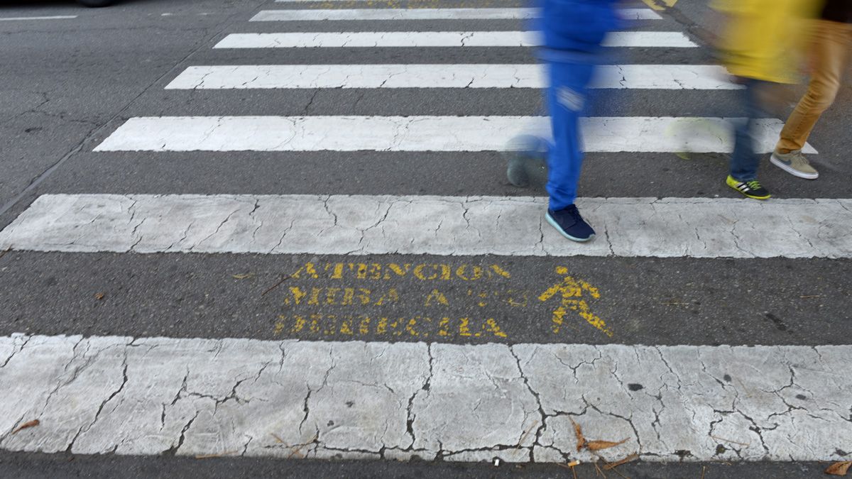 Los datos indican que en la mayoría de los casos la responsabilidad del atropello era del conductor.| MAURICIO PEÑA