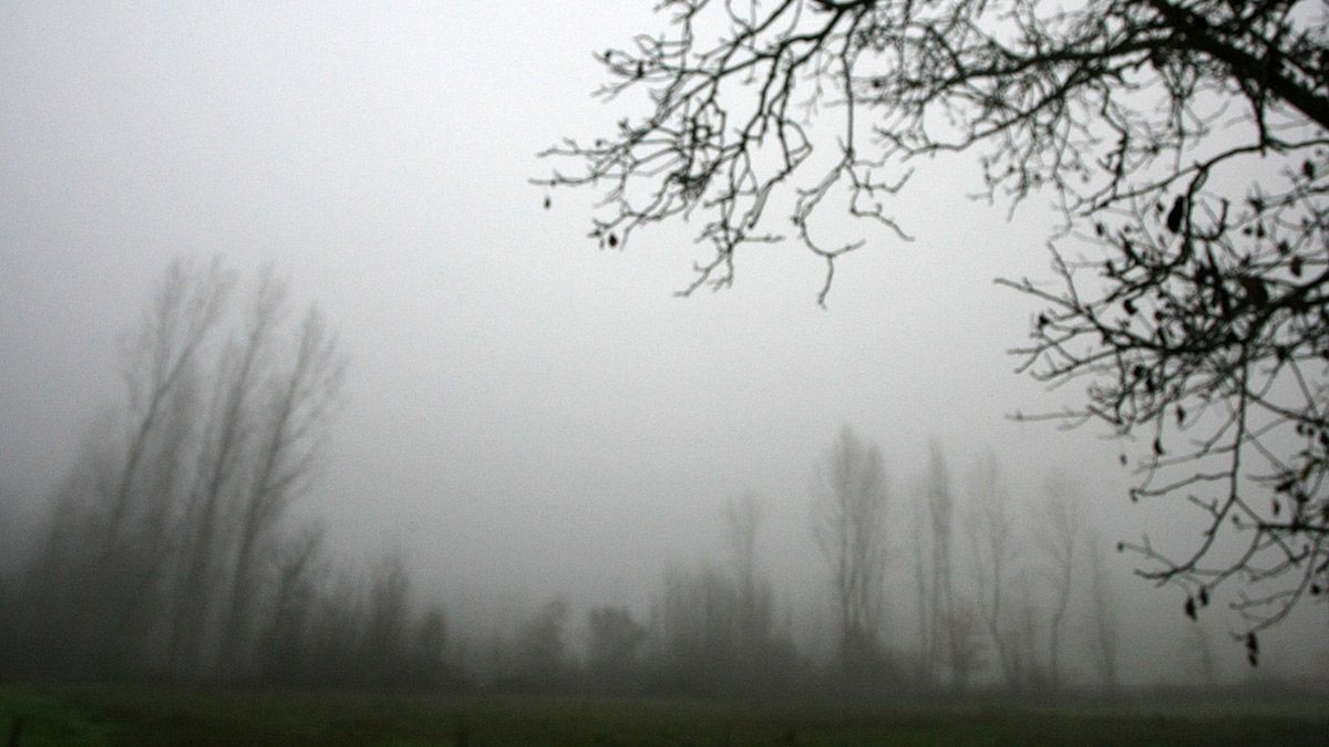 Imagen de la niebla la mañana de este jueves en El Bierzo. | CÉSAR SÁNCHEZ (ICAL)