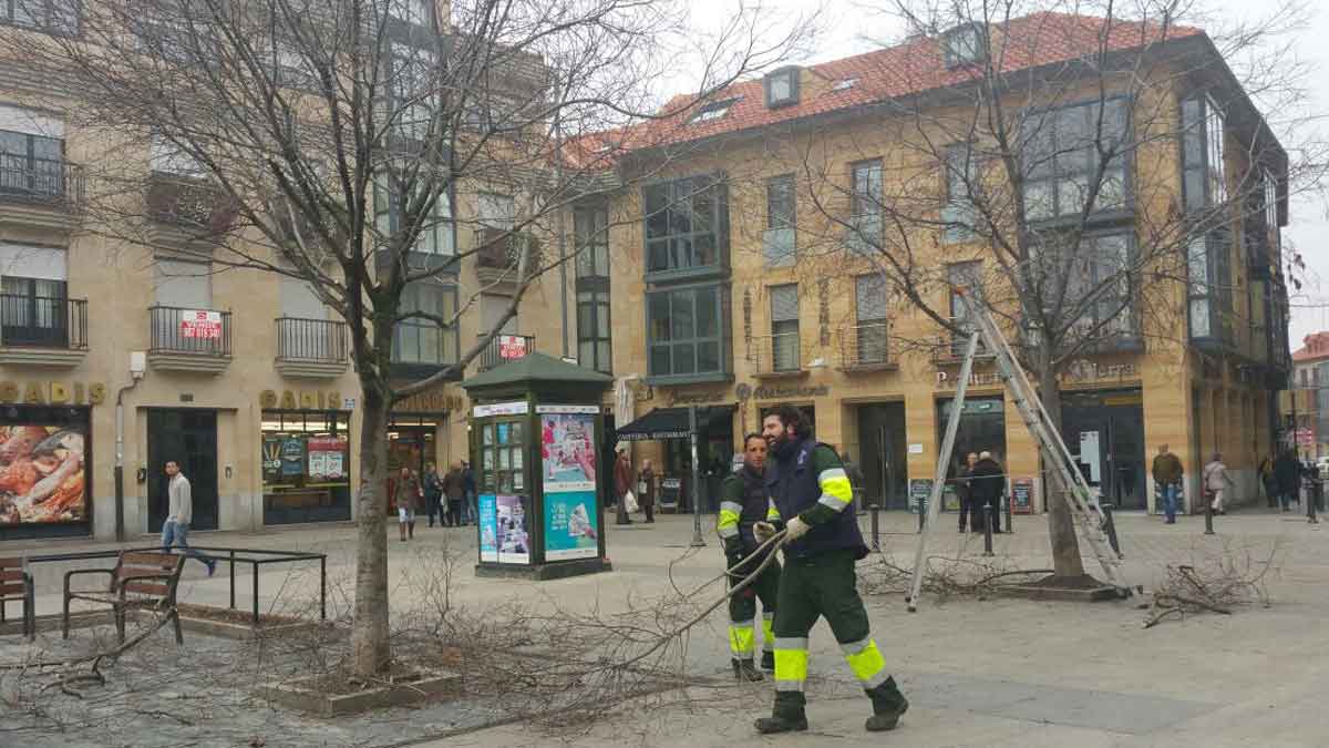 Trabajadores realizando la poda en Santocildes. | P.F.