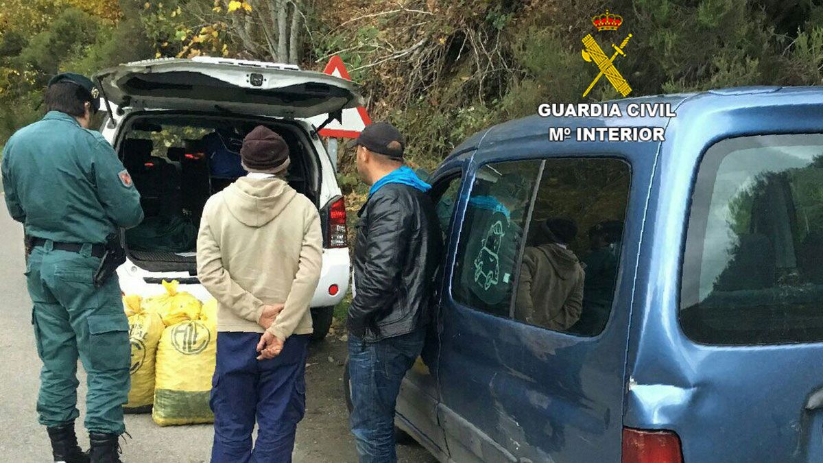 La Guardia Civil incauta 500 kilos de castañas robadas en el Bierzo. | L.N.C.