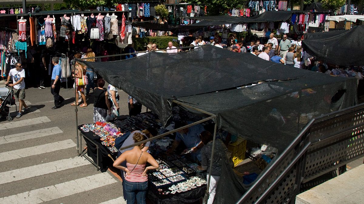 Los bolsos se incautaban en un mercadillo semanal de La Bañeza. | MAURICIO PEÑA