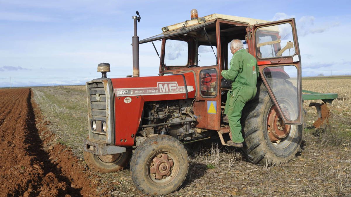 Los asalariados de la agricultura, la ganadería, la silvicultura y la pesca tienen los salarios más bajos. | DANIEL MARTÍN