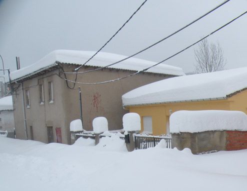 50262452.jpg