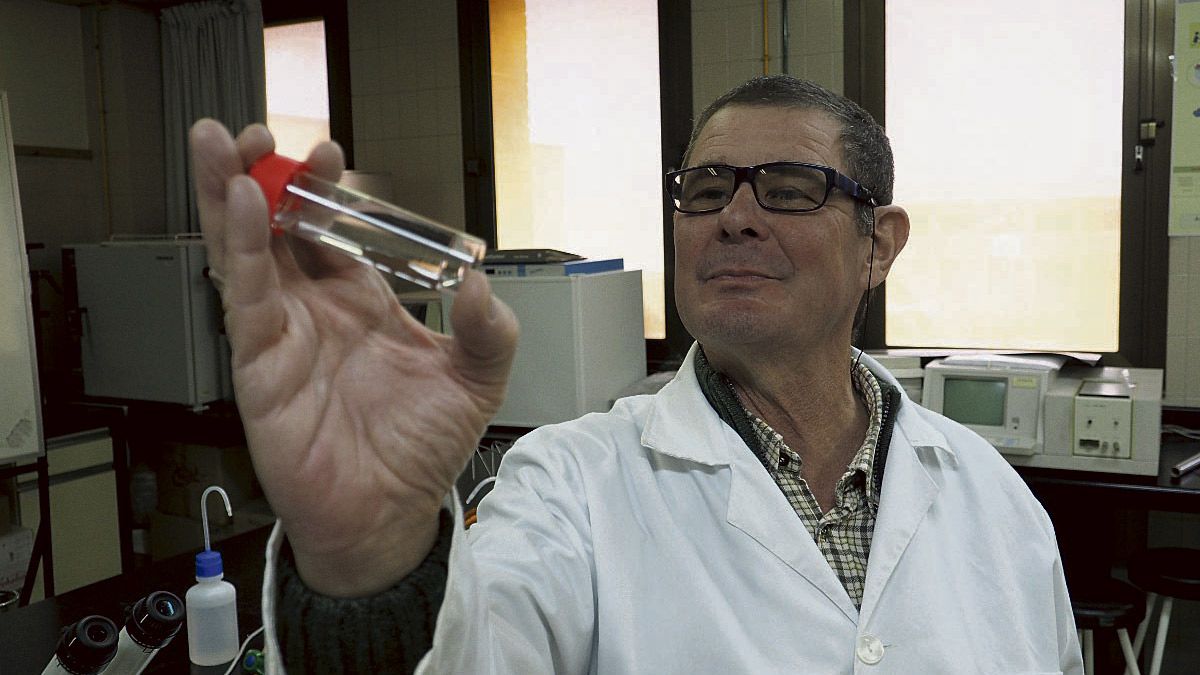 imagen-investigador2.jpg imagen-investigador2.jpg