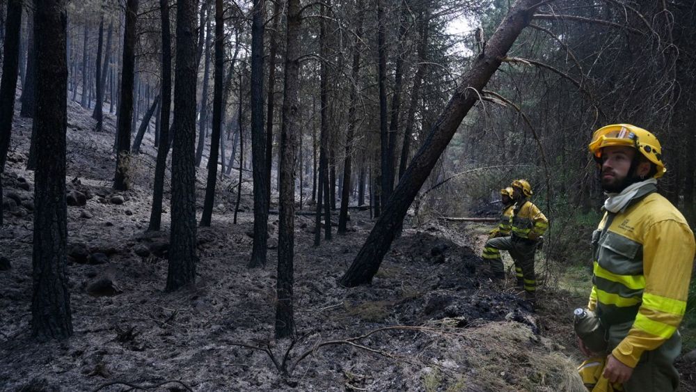 El incendio en Santa Colomba de Curueño se originó este sábado. | JESÚS F. SALVADORES