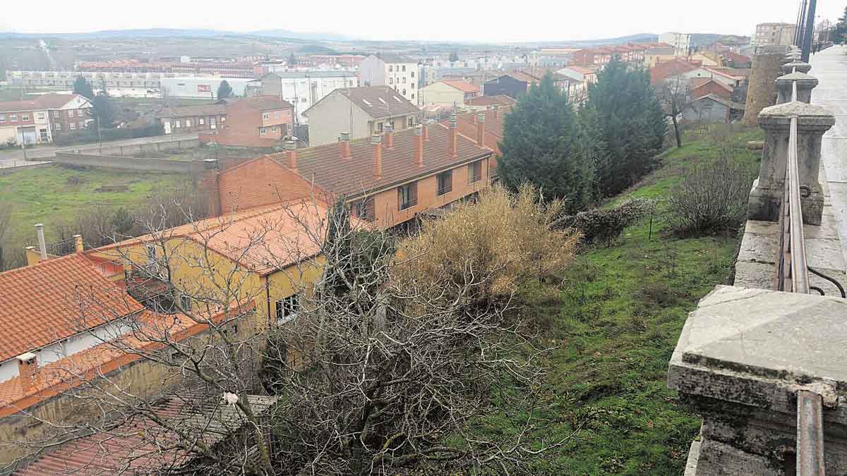 En primavera se dará comienzo a las labores de limpieza. P. F.