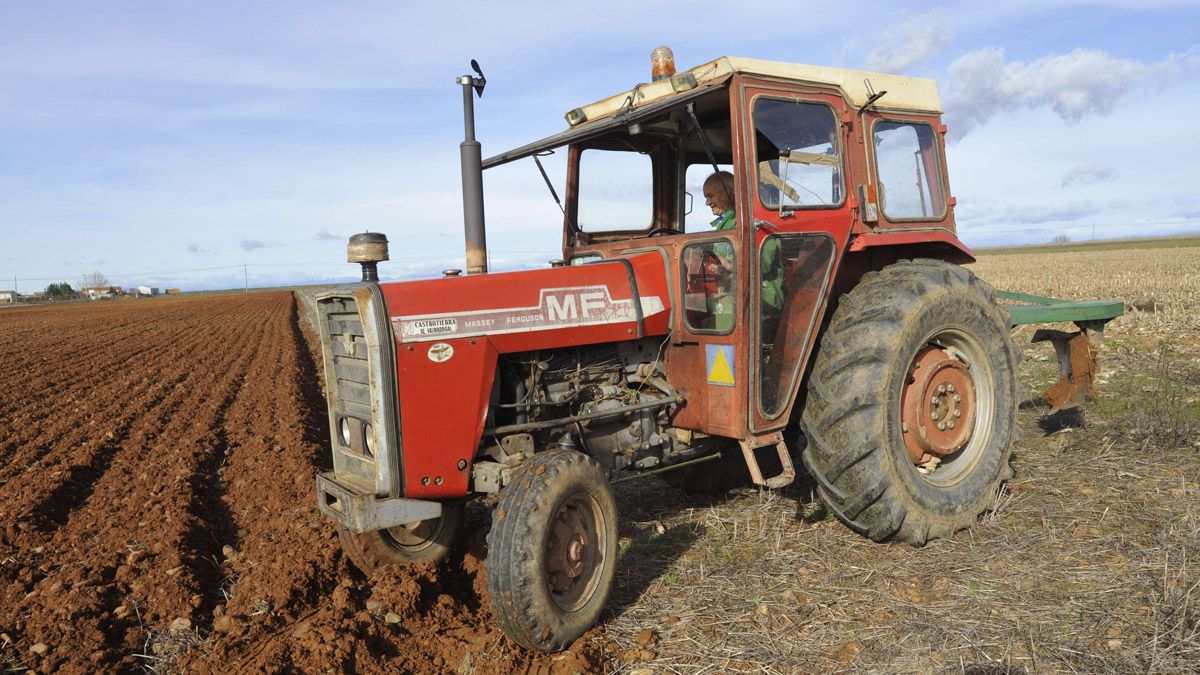 El sector de la agricultura es uno de los que más trabajadores autónomos aglutina en la provincia de León. | DANIEL MARTÍN