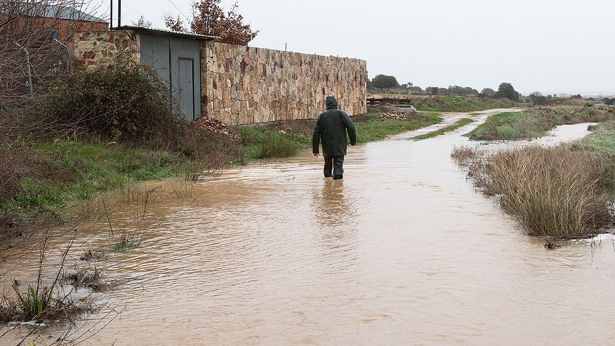 Las zonas afectadas de la cuenca del Duero corresponden principalmente a la provincia de Zamora. | ICAL