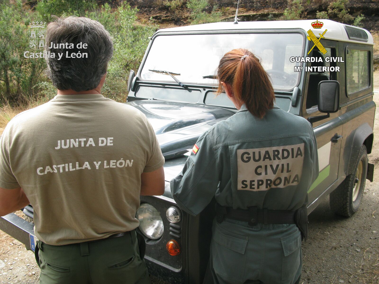 Investigación  del incendio forestal | L.N.C.