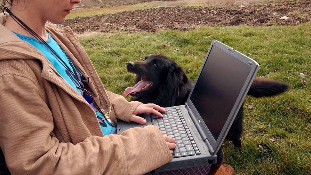 El objetivo del Gobierno es que en 2025 no haya ni un solo pueblo sin cobertura telefónica y de Internet. | L.N.C.