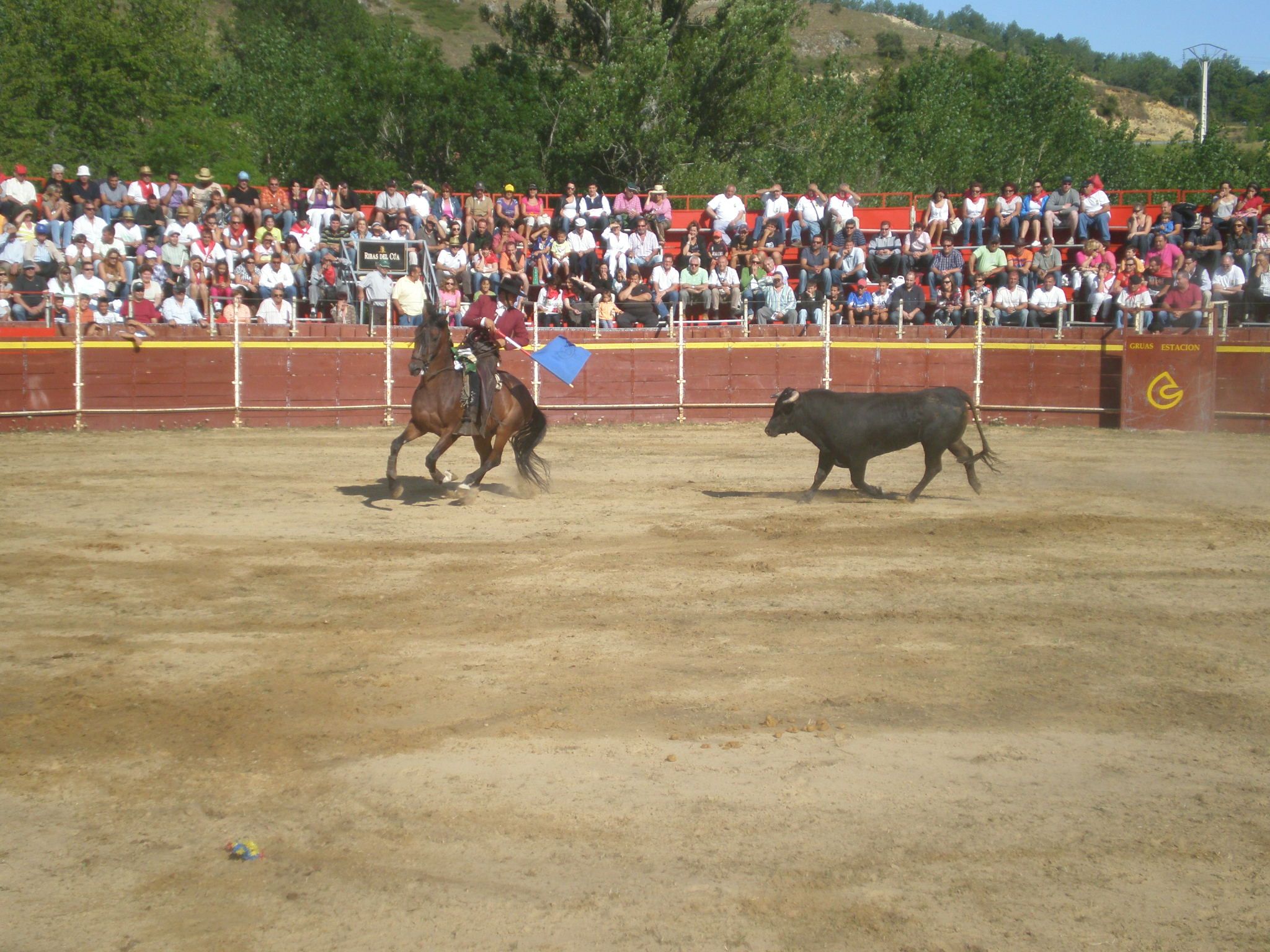 La Novillada de Toros en memoria de José Laurentino, ‘Joselillo’. | L.N.C.