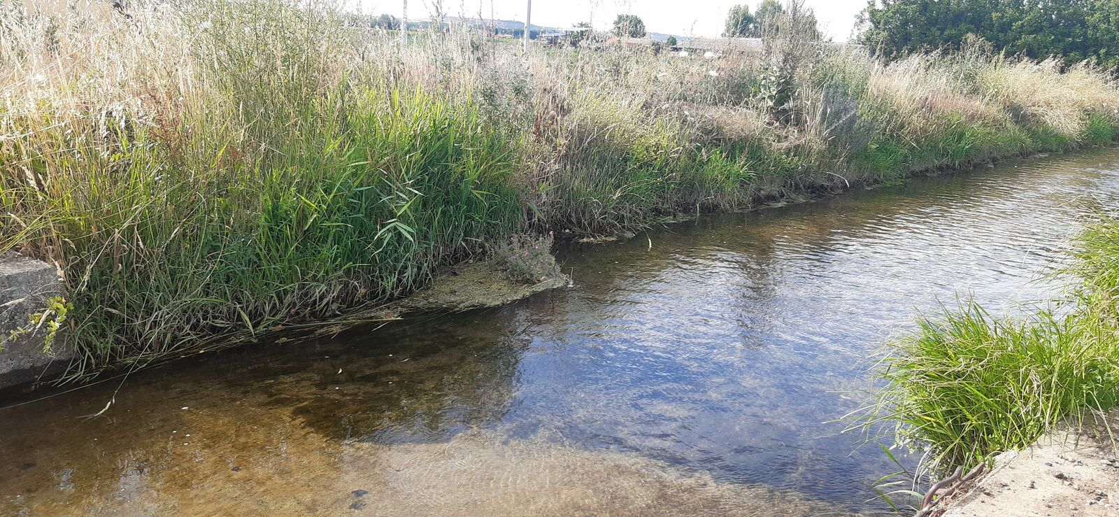 El canal a su paso tras el pueblo